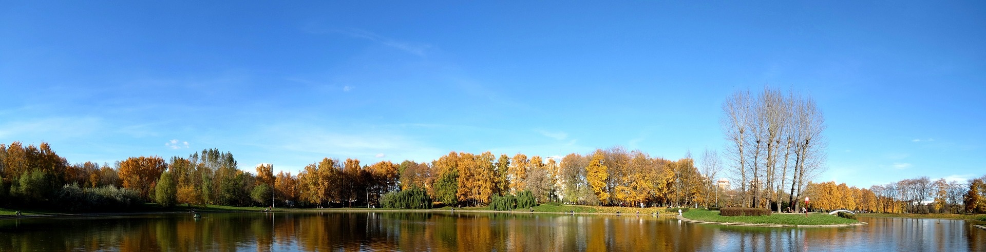 Blå bakgrundsbild, sjö och höstträd.